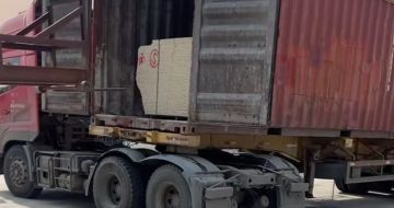 莆田 黄金麻荔枝面毛板