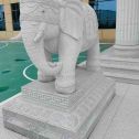 莆田 白麻花岗岩动物异形石雕-大象