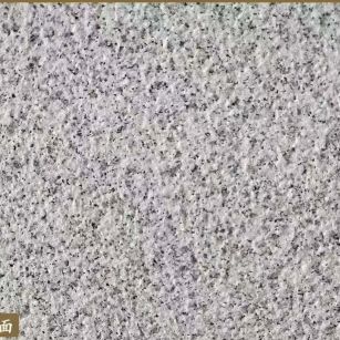 莆田白麻荔枝面