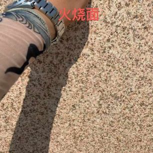 莆田黄金麻火烧面