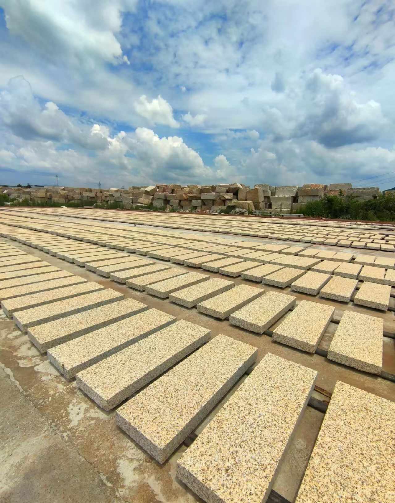 莆田 黄金麻荔枝面花岗岩石材地铺石防护中
