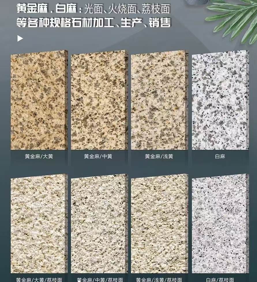 莆田 黄金麻白麻样品展示