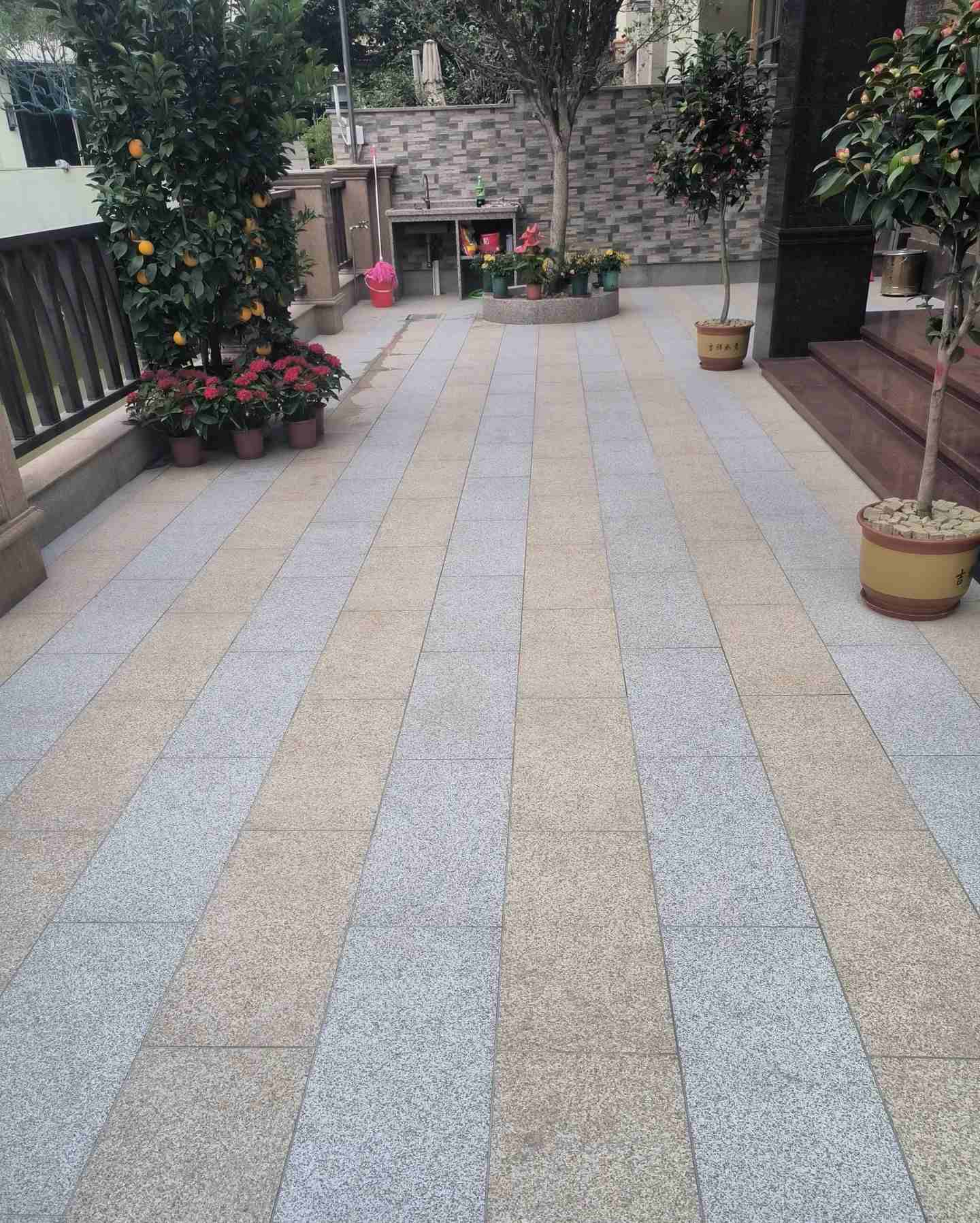 莆田 黄金麻白麻荔枝面庭院铺装展示