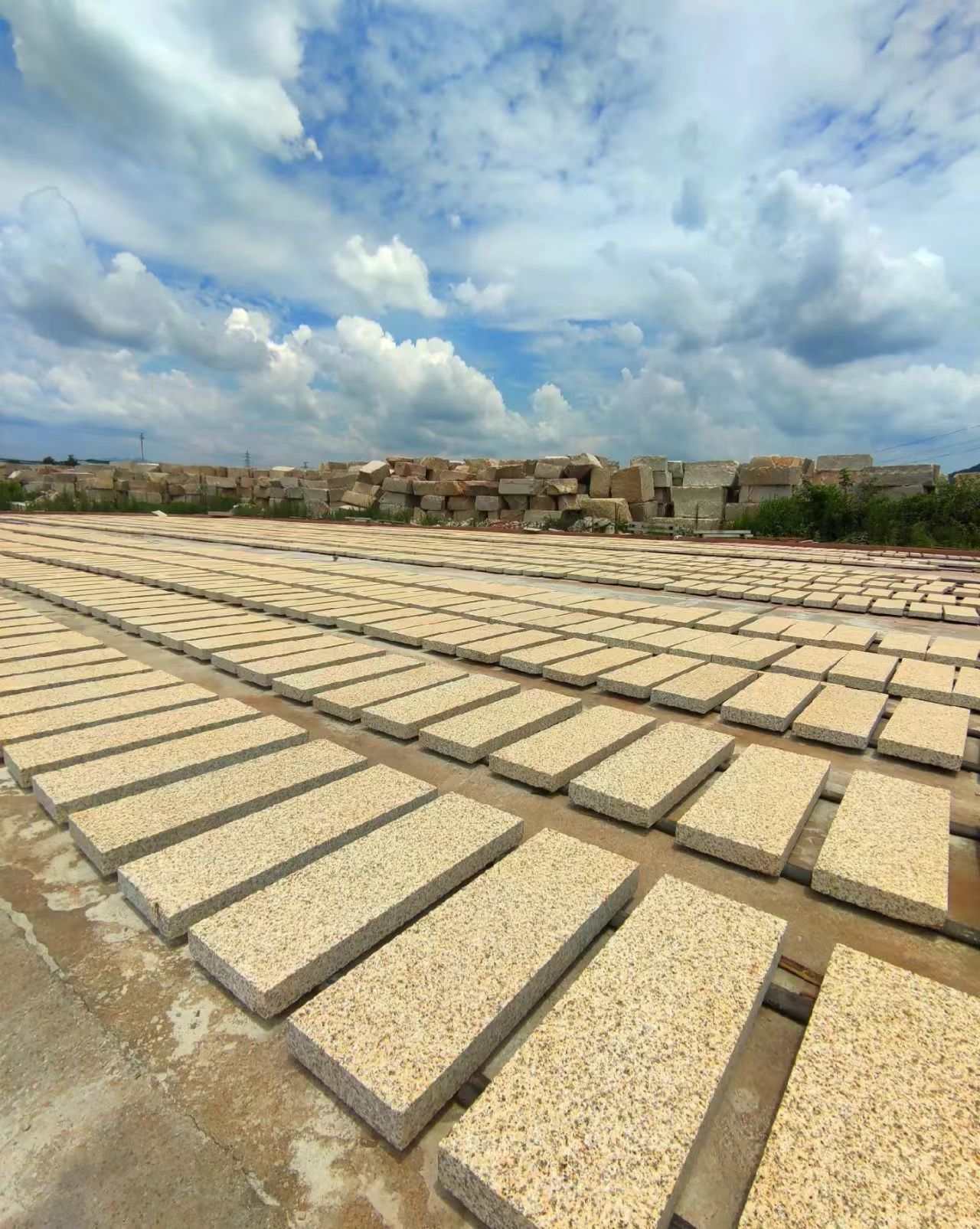 莆田 黄金麻花岗岩荔枝面地铺石防护中